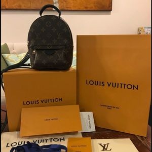 Authentic Louis Vuitton Palm Springs Mini